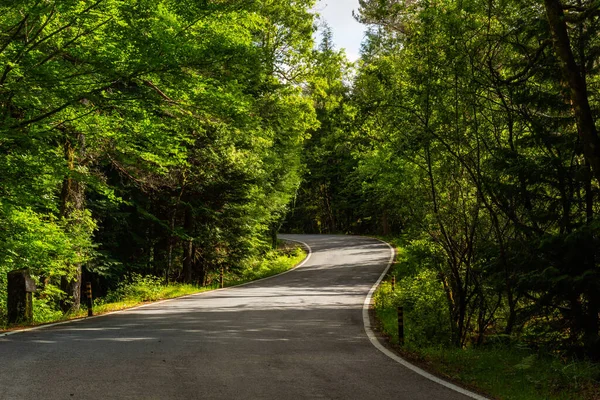 Spring Landscape Road Beautiful Trees Geres Portuguese National Park North — Stock Photo, Image