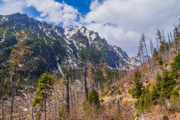 斯洛伐克塔特拉山山脉景观 — 图库照片