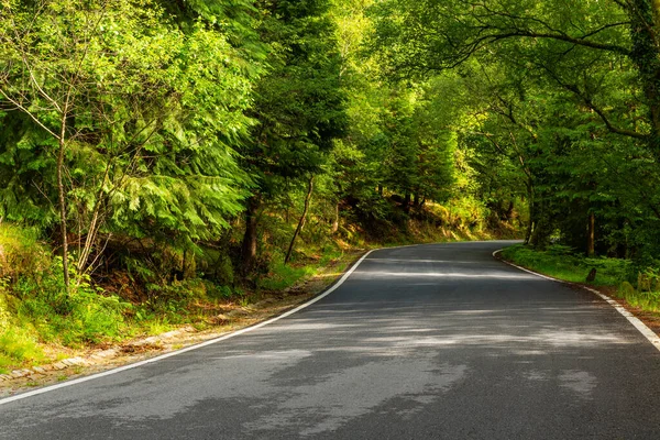 Spring Landscape Road Beautiful Trees Geres Portuguese National Park North — Stock Photo, Image