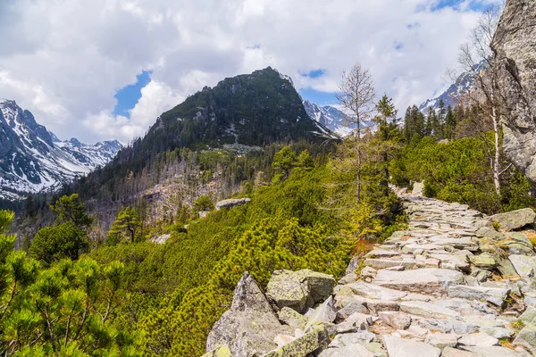 슬로바키아의 타트라 산맥의 — 스톡 사진