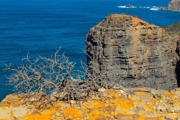 Klippen Der Westküste Der Algarve Der Nähe Von Sagres Portugal — Stockfoto