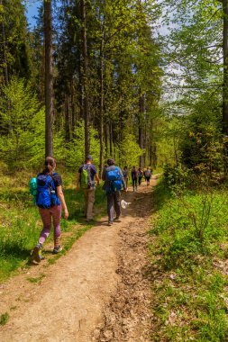 Tatras, Slovakia: People hiking on High Tatra Mountain Range in Slovakia.