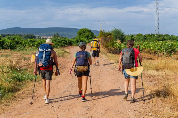 Navarra España Peregrinos Recorren Camino Santiago Camino Santiago Navarra España — Foto de Stock