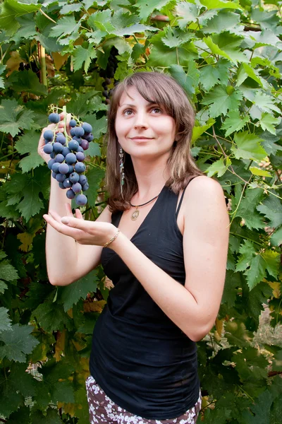 Kvinna i en trädgård med kluster av vinstockar — Stockfoto