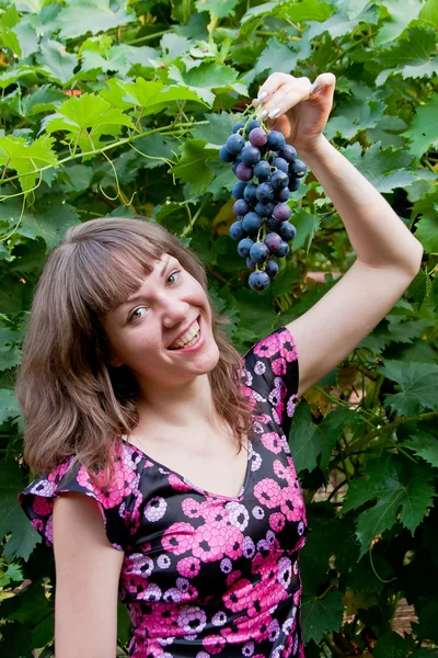 Kvinna i en trädgård med kluster av vinstockar — Stockfoto