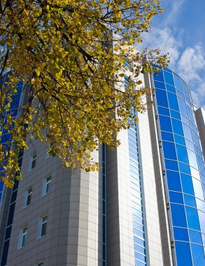 yeni modern pitch bina ve sonbahar ağaç dalı