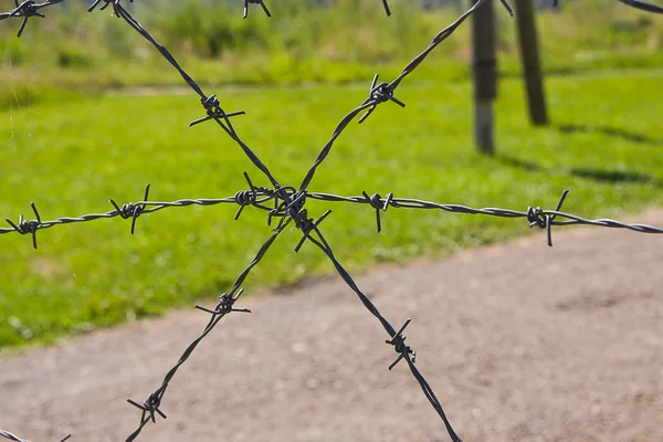 Barbed wire in the museum of political repressions, Perm edge, R — Stock Photo, Image