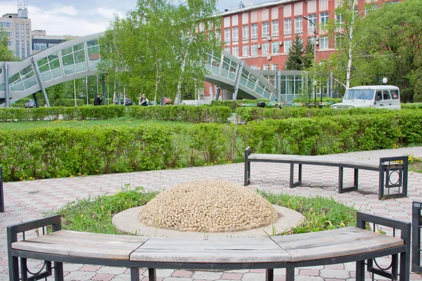 Parque em território da universidade estatal, cidade Perm, Rússia — Fotografia de Stock