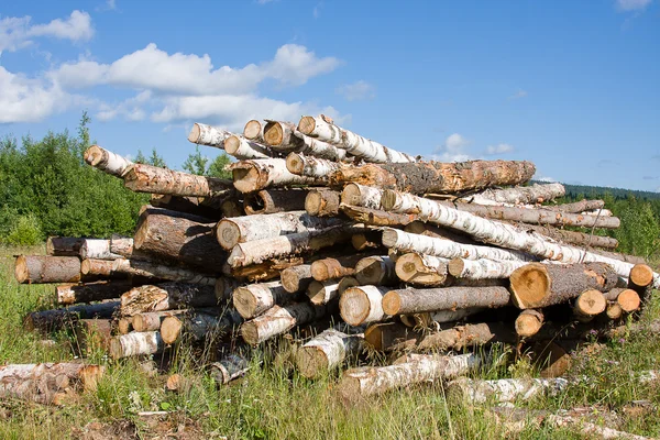 Logs lie on a green grass