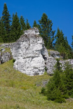 Dağın tepesinde güzel rocks