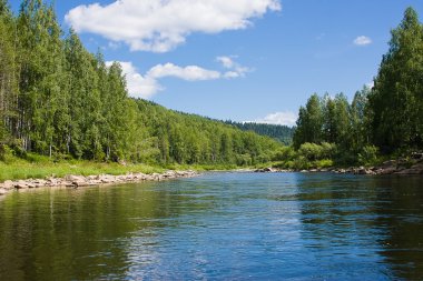 Nehirdeki güzel yaz manzarası