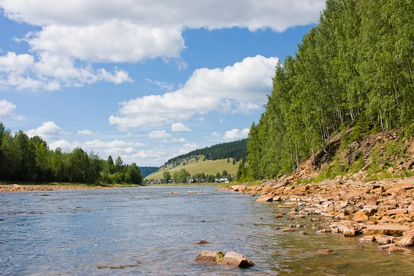 Beautiful summer landscape on the river — Stock Photo, Image