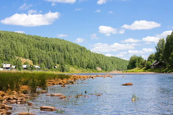 Vackert sommarlandskap vid älven — Stockfoto