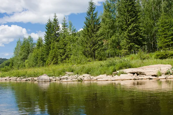 Schöne Sommerlandschaft am Fluss — Stockfoto