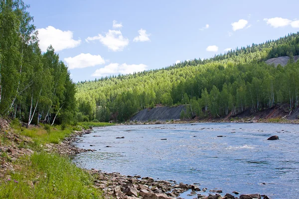 Prachtig zomers landschap aan de rivier — Stockfoto