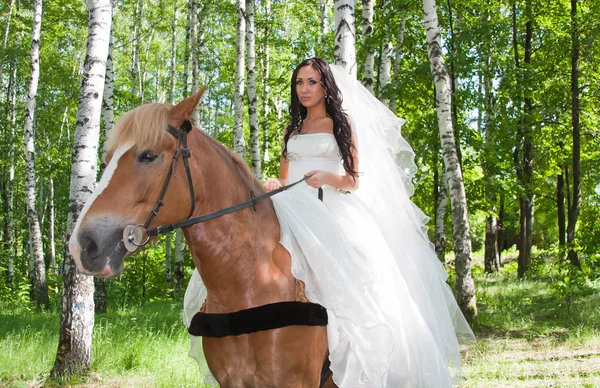 Młoda kobieta w sukni narzeczonej na koniu — Zdjęcie stockowe