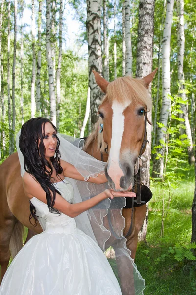 Jovem no vestido de noiva ao lado de um cavalo — Fotografia de Stock