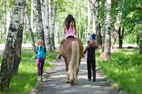 Walk on a horse in summer in a park — Stock Photo, Image