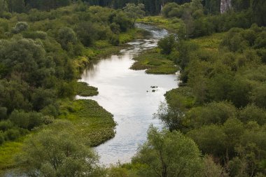 Nehirdeki güzel yaz manzarası