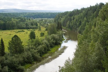 Nehirdeki güzel yaz manzarası