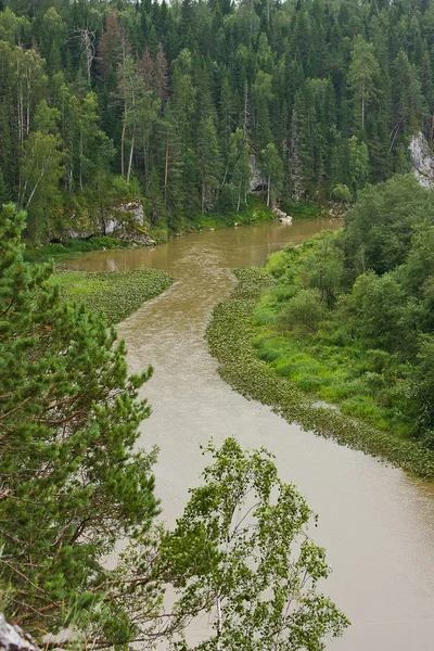 Beau paysage d'été sur la rivière — Photo