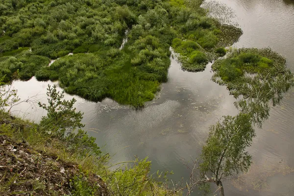 Schöne Sommerlandschaft am Fluss — Stockfoto