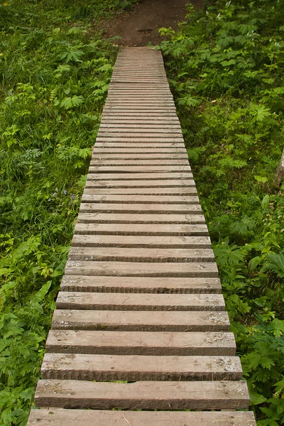 Na poli je dřevěný most. — Stock fotografie