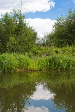 Nehirdeki güzel yaz manzarası