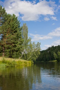 Nehirdeki güzel yaz manzarası