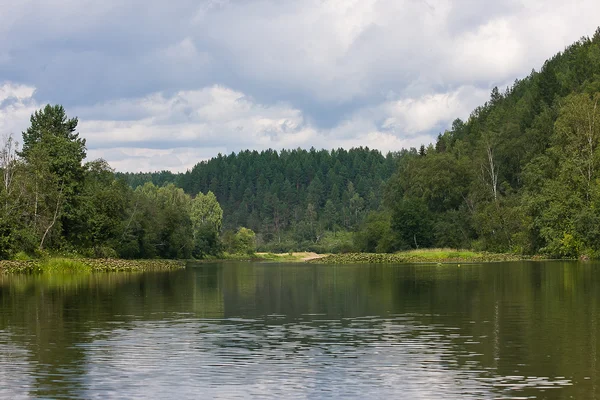 Prachtig zomers landschap aan de rivier — Stockfoto