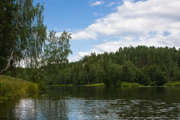 Nehirdeki güzel yaz manzarası — Stok fotoğraf
