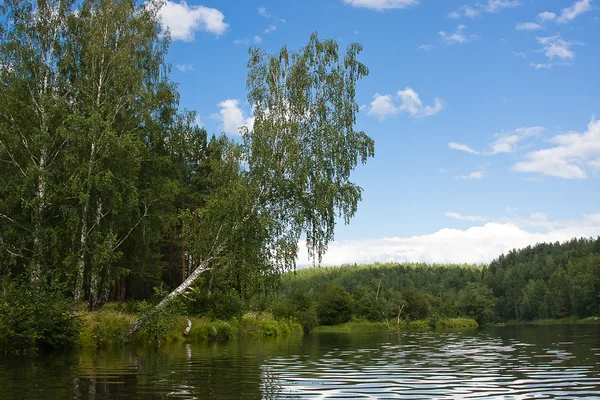 Beautiful summer landscape on the river — Stock Photo, Image