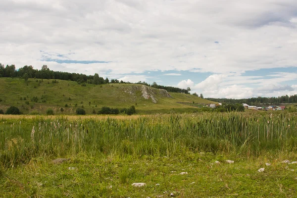 Piękny letni krajobraz nad rzeką — Zdjęcie stockowe