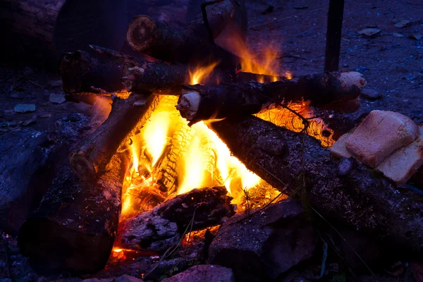 Firewoods branden op een brand — Stockfoto
