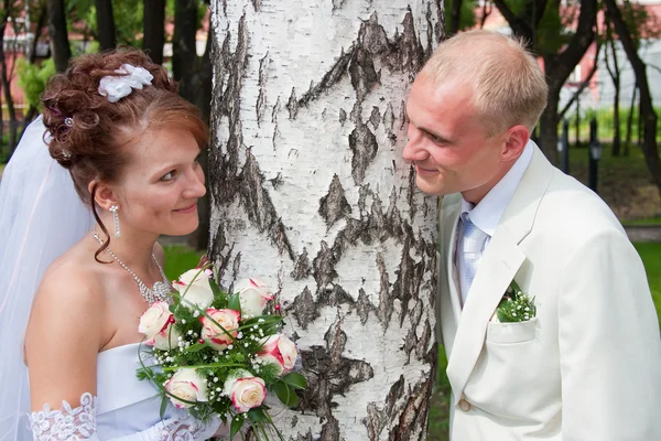 Happy groom and fiancee in a park near a birch — Stock Photo, Image