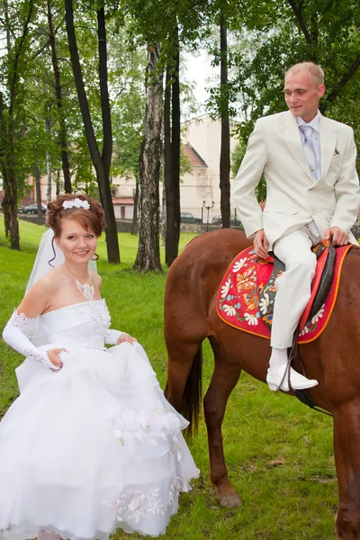 A groom and fiancee sit down on a horse — Stock Photo, Image