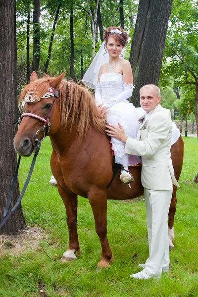 A groom and fiancee sit on a horse — Stock Photo, Image