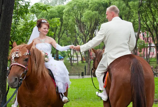 A groom and fiancee sit on two horse — Stock Photo, Image