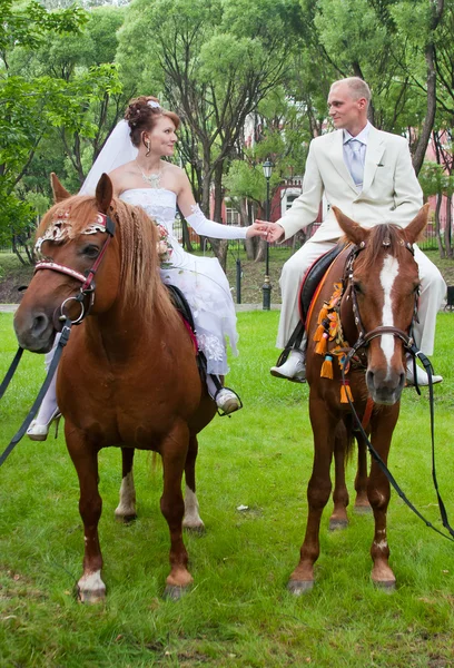 A groom and fiancee sit on two horse — Stock Photo, Image