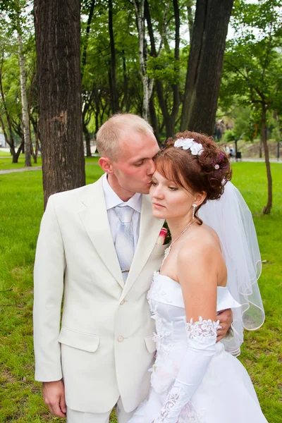 Mutlu damat ve nişanlısı doğası üzerine bir parkta — Stok fotoğraf