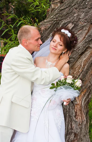 Noivo e noiva em um parque no barril da árvore — Fotografia de Stock