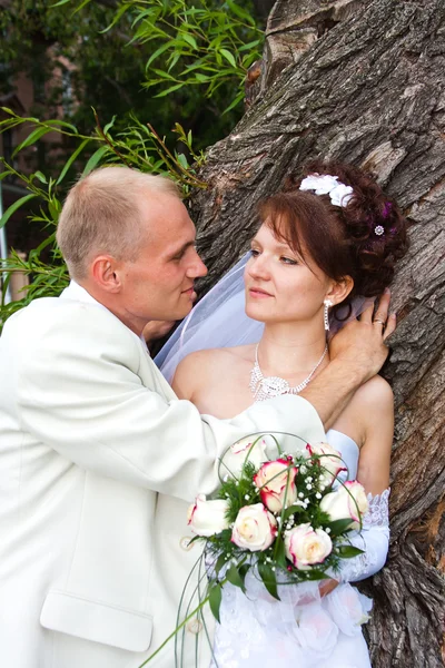 Наречений і наречена у парку на стовбур дерева — стокове фото
