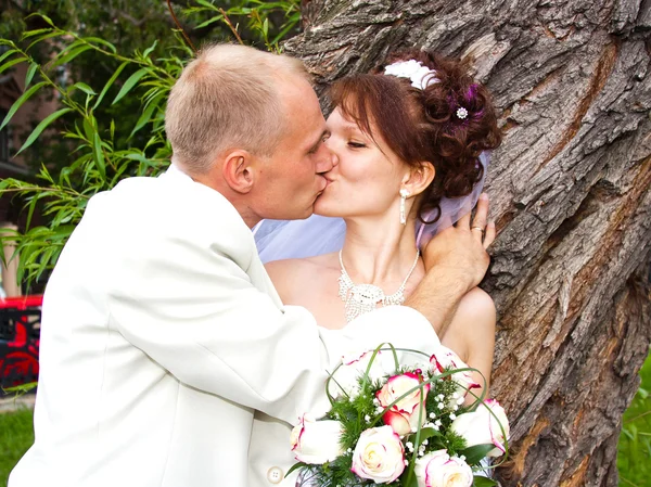 Noivo e noiva em um parque no barril da árvore — Fotografia de Stock