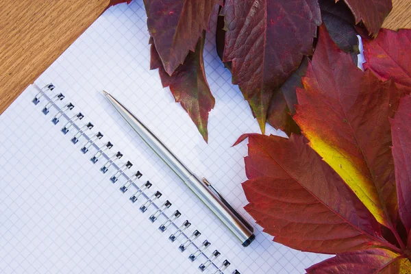 Fondo de las hojas de otoño de uvas silvestres —  Fotos de Stock