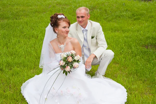 Happy groom and fiancee in a park on nature Stock Photo