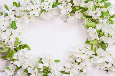 çiçekli apple dal ile güzel tasarımcı arka plan