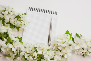 çiçekli apple dal ile güzel tasarımcı arka plan