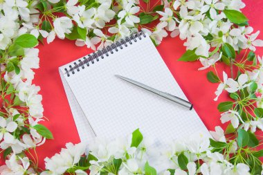 çiçekli apple dal ile güzel tasarımcı arka plan