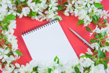 çiçekli apple dal ile güzel tasarımcı arka plan