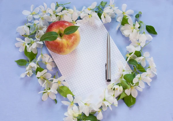 Designer background with the sprigs of flowering apple-tree, not — Stock Photo, Image